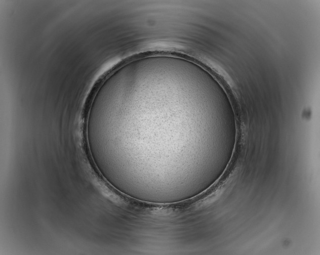 X0000101151029200807111001