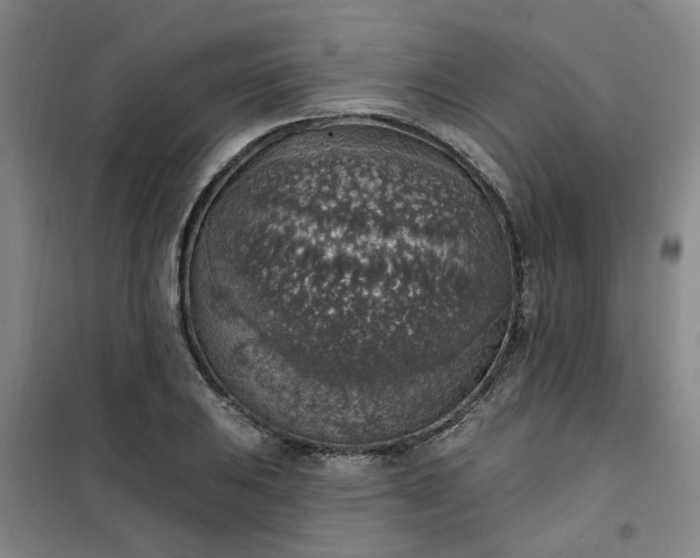 X0000101151031200807111001