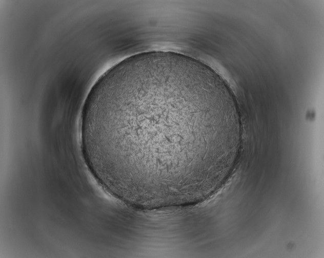 X0000101151032200807111001