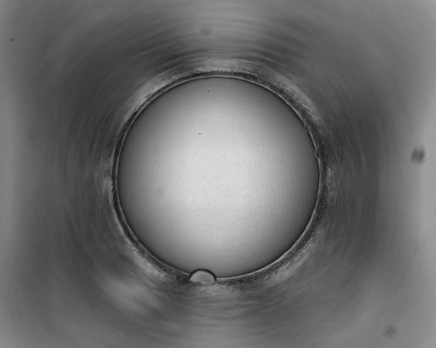 X0000101151033200807111001