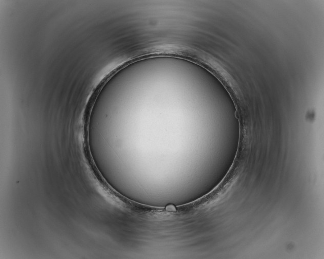 X0000101151034200807111001