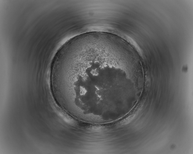 X0000101151035200807111001