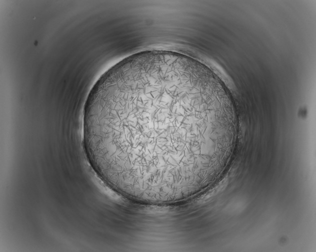 X0000101151036200807111001