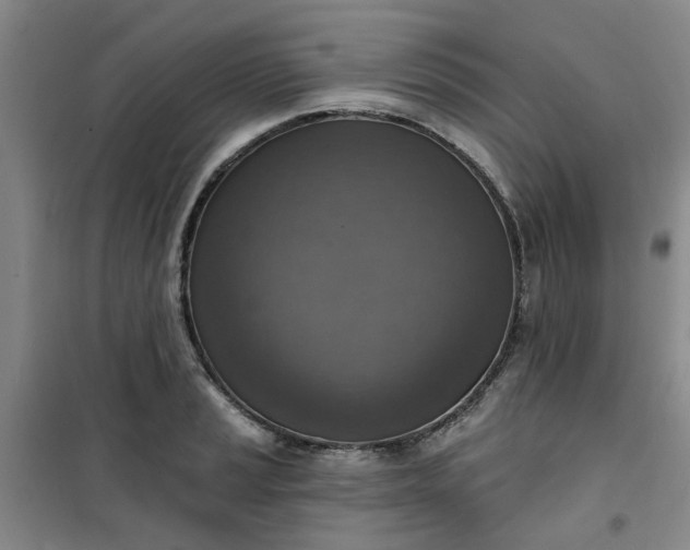 X0000101151037200807111001