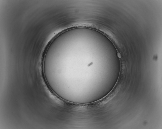 X0000101151038200807111001