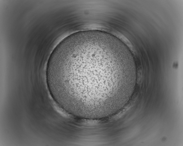 X0000101151039200807111001