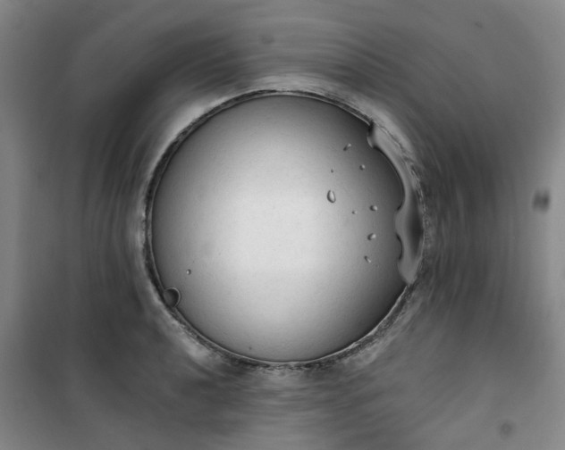 X0000101151040200807111001