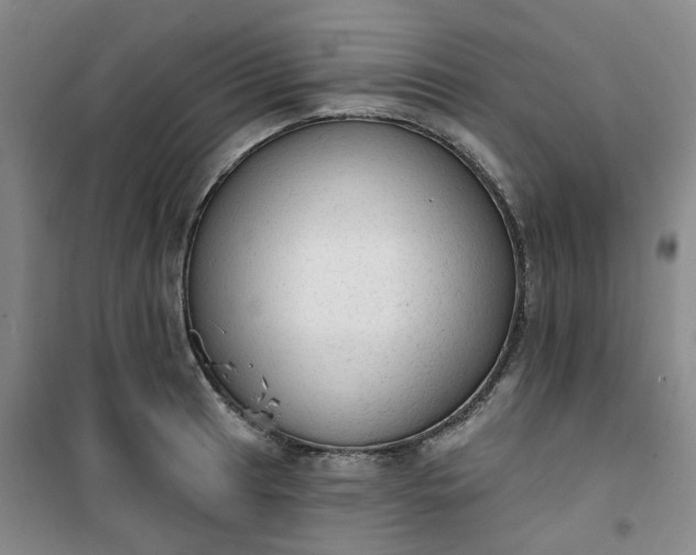 X0000101151041200807111001