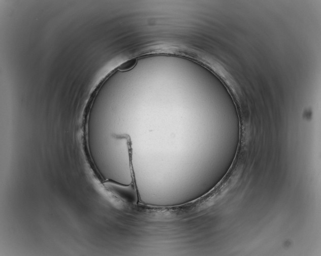 X0000101151042200807111001