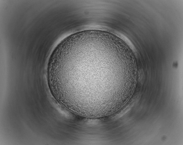 X0000101151043200807111001