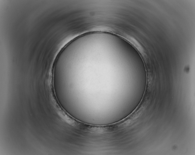 X0000101151044200807111001