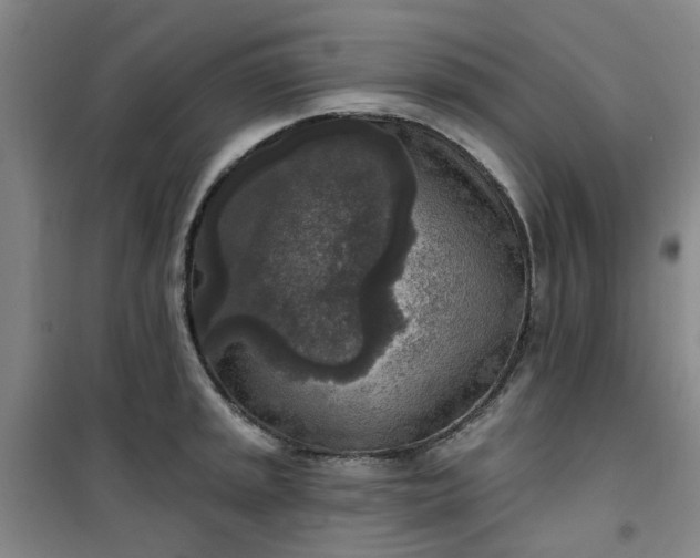 X0000101151045200807111001