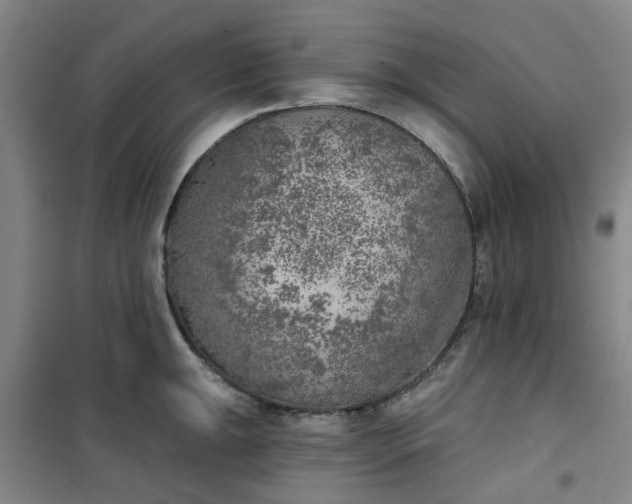 X0000101151047200807111001