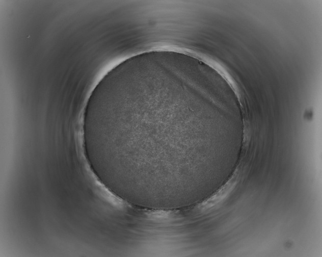 X0000101151048200807111001