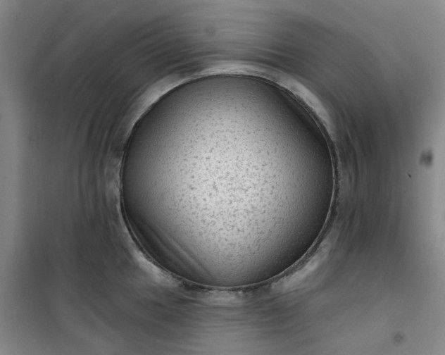 X0000101151049200807111001