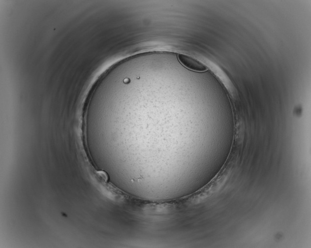 X0000101151051200807111001