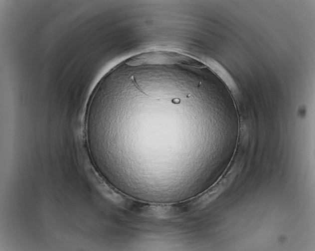 X0000101151052200807111001