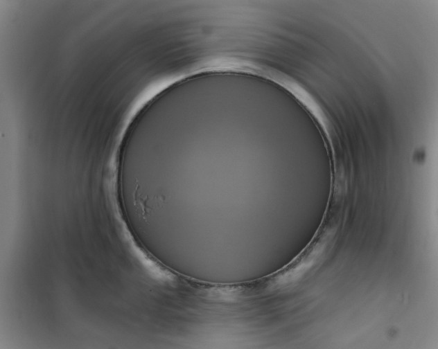 X0000101151053200807111001