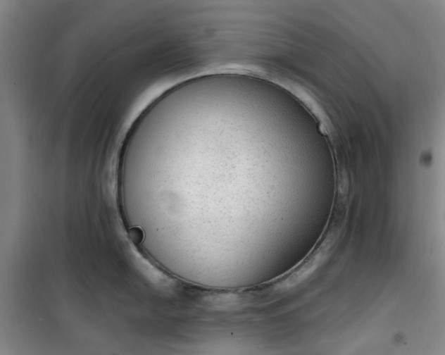 X0000101151054200807111001