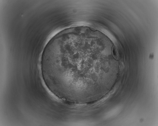 X0000101151055200807111001