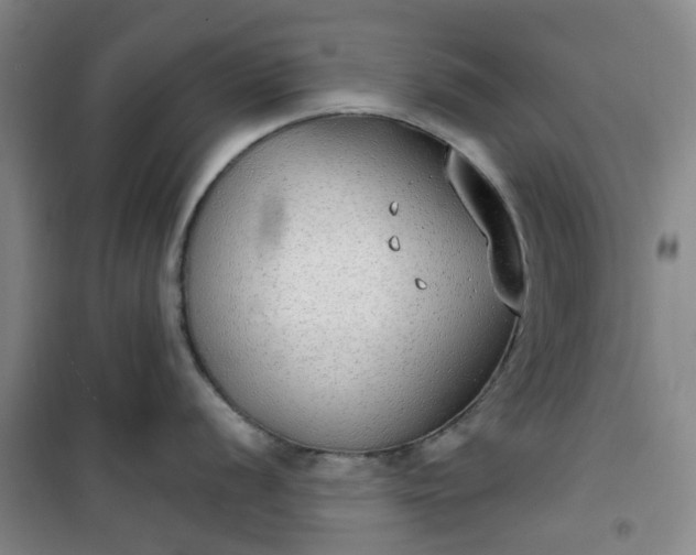 X0000101151056200807111001