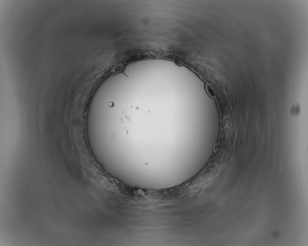 X0000101151057200807111000