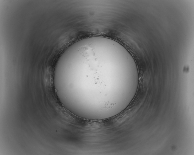 X0000101151058200807111000