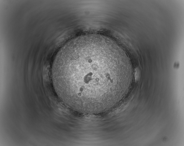 X0000101151059200807111000