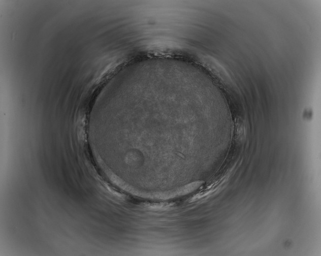 X0000101151060200807111000