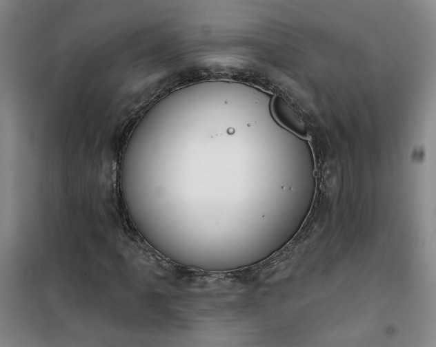 X0000101151061200807111000