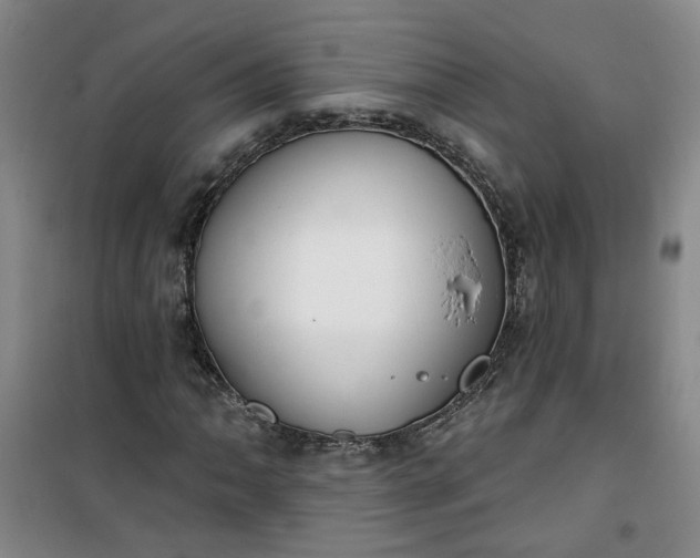 X0000101151062200807111000