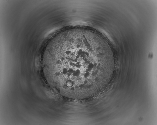 X0000101151063200807111000