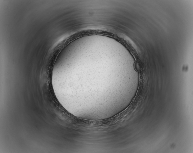 X0000101151064200807111000