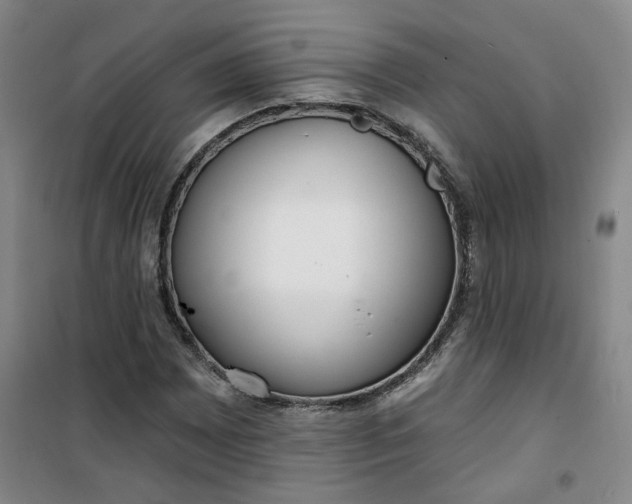 X0000101151065200807111000