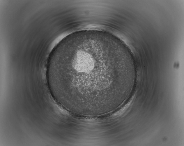 X0000101151066200807111000