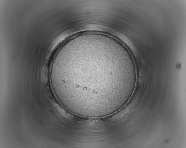 X0000101151067200807111000