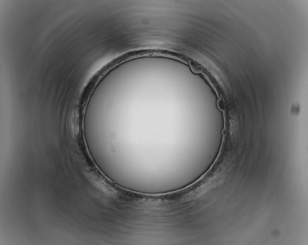 X0000101151069200807111000