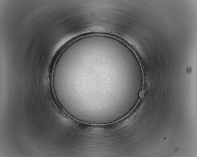 X0000101151070200807111000