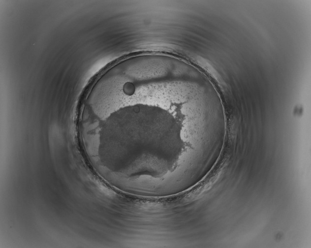 X0000101151071200807111000