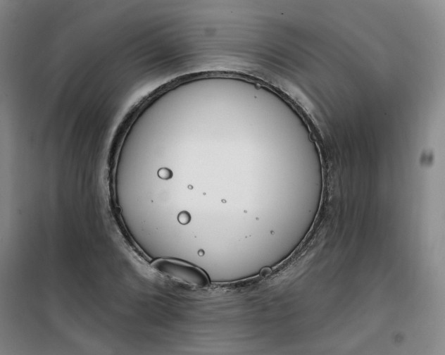 X0000101151072200807111000