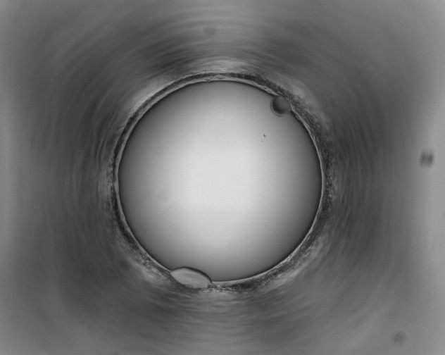 X0000101151073200807111000