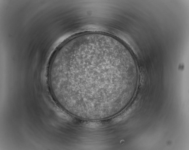 X0000101151074200807111000