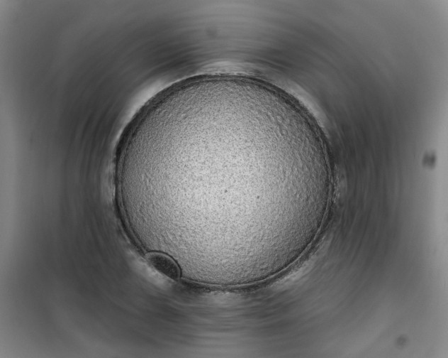 X0000101151075200807111000