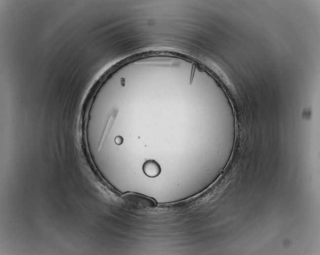 X0000101151076200807111000