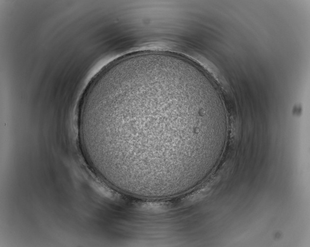 X0000101151078200807111000