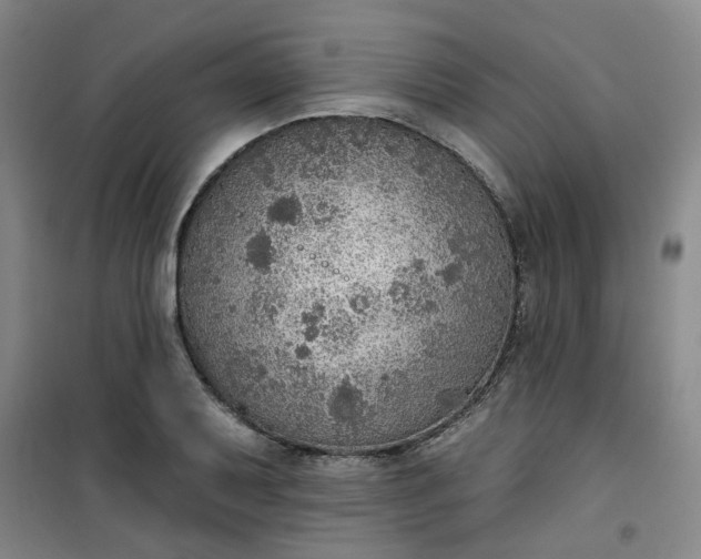 X0000101151079200807111000