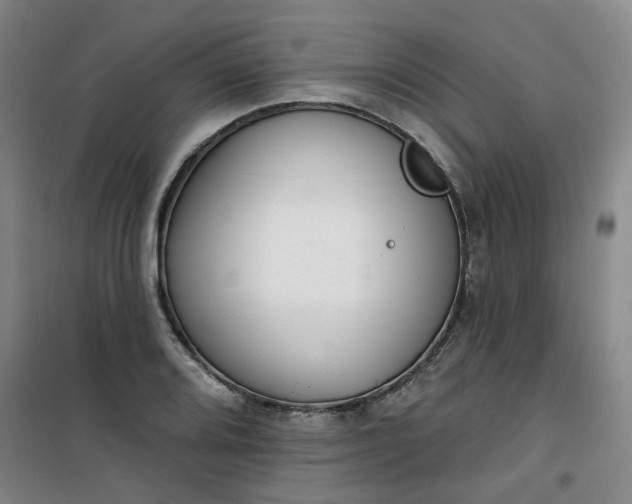 X0000101151080200807111000