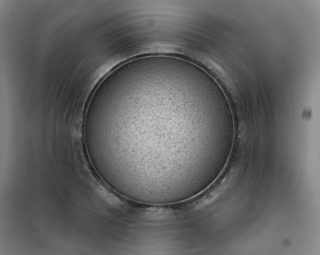 X0000101151081200807111000