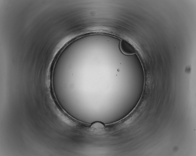 X0000101151082200807111000