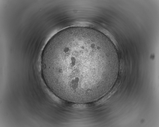 X0000101151083200807111000